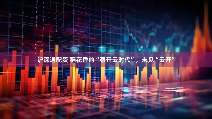 沪深通配资 稻花香的“蔡开云时代”，未见“云开”