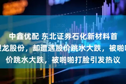 中鑫优配 东北证券石化新材料首席杨占魁吹捧银龙股份，却遭遇股价跳水大跌，被啪啪打脸引发热议